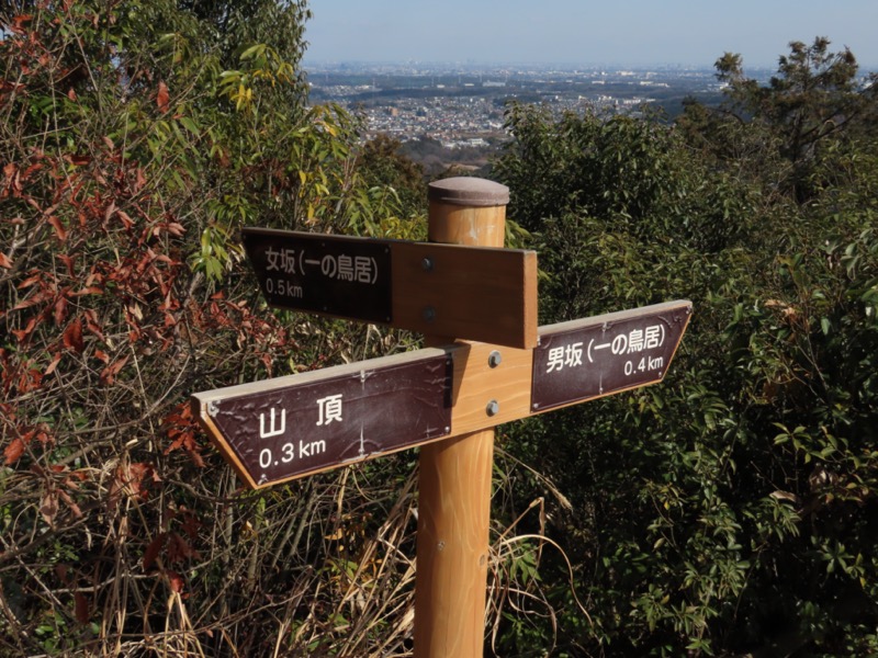 日和田山、物見山